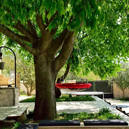 Apios Nyaraló Benkovac