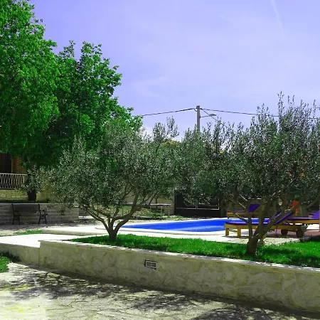 Apios Benkovac