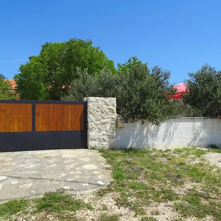 Apios Benkovac