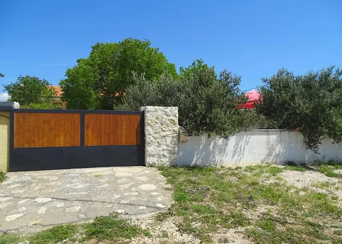 Apios Benkovac